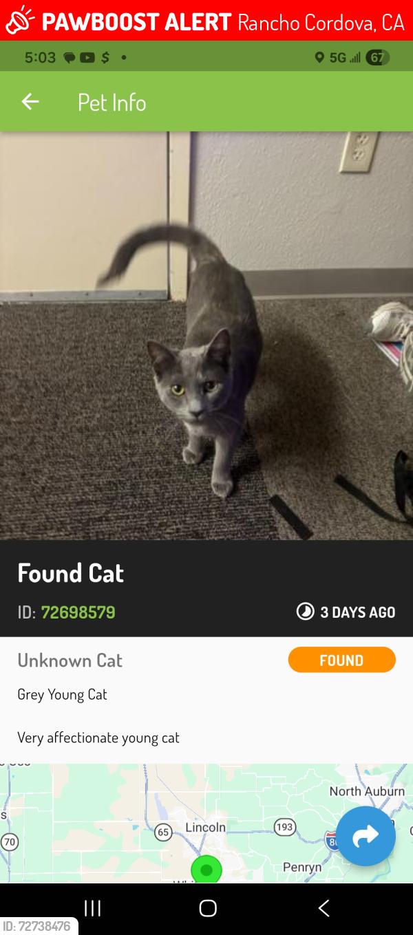 Lost Male Cat last seen So .White rock rd and zinfendel, Rancho Cordova, CA 95670