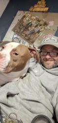 Lost Male Dog last seen Manchester apmts , Indianapolis, IN 46221