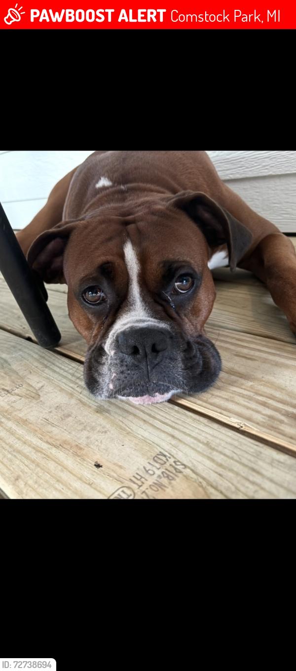 Lost Male Dog last seen Westshire and Kittery in the Westgate neighborhood. , Comstock Park, MI 49321