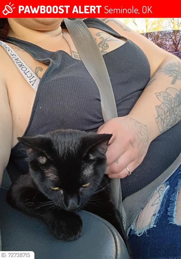 Lost Male Cat last seen Milt phillips and strothers, Seminole, OK 74868