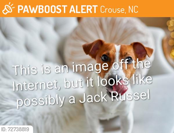 Found/Stray Unknown Dog last seen Near old Lincolnton Crouse Road, Crouse, NC 28033, Crouse, NC 28033