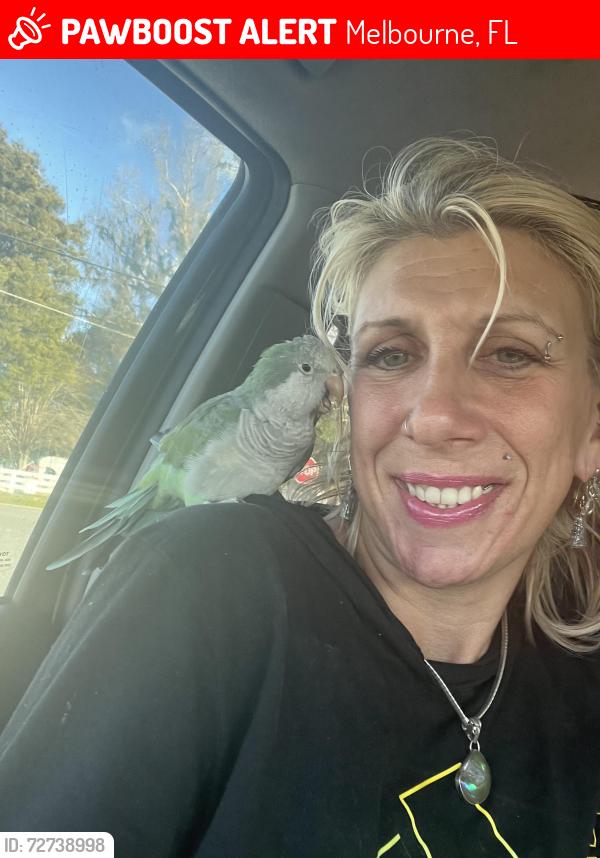Lost Male Bird last seen Larry ct carol drive, Melbourne, FL 32935