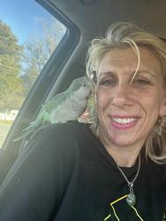Lost Male Bird last seen Larry ct carol drive, Melbourne, FL 32935