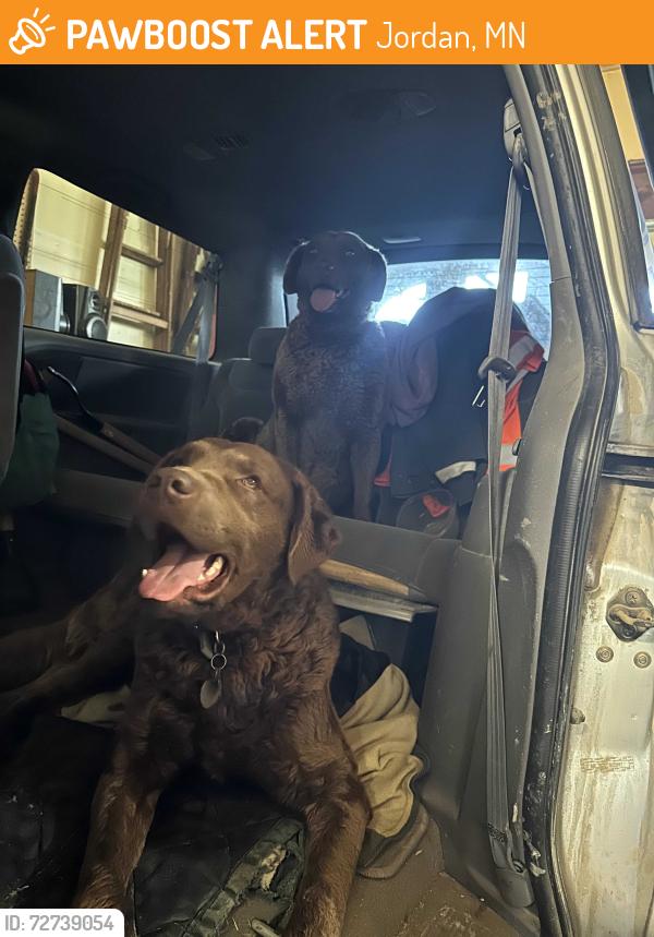 Found/Stray Unknown Dog last seen Sunset Drive, Jordan, MN 55352