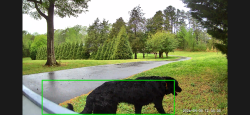 Found/Stray Unknown Dog last seen Ranlo Spencer Mtn , Gastonia, NC 28056