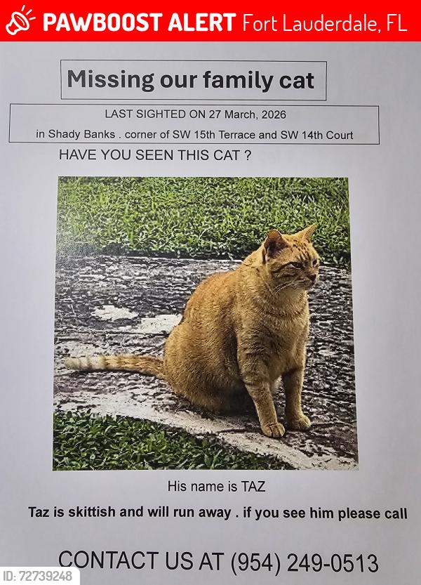 Lost Male Cat last seen SW 15th Terrace and 12th Court , Fort Lauderdale, FL 33312