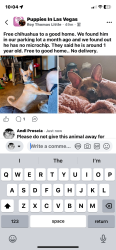 Found/Stray Male Dog last seen N/A, Las Vegas, NV 89101