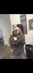 Lost Female Dog last seen Shawii pass, Liberty Hill, TX 78642