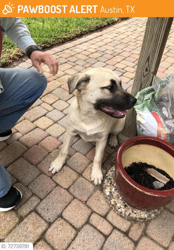 Found/Stray Unknown Dog last seen Wooden pedestrian bridge between Golden Quail & South Meadows, Austin, TX 78758