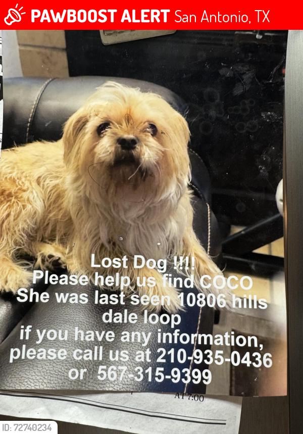 Lost Female Dog last seen Prue, San Antonio, TX 78249