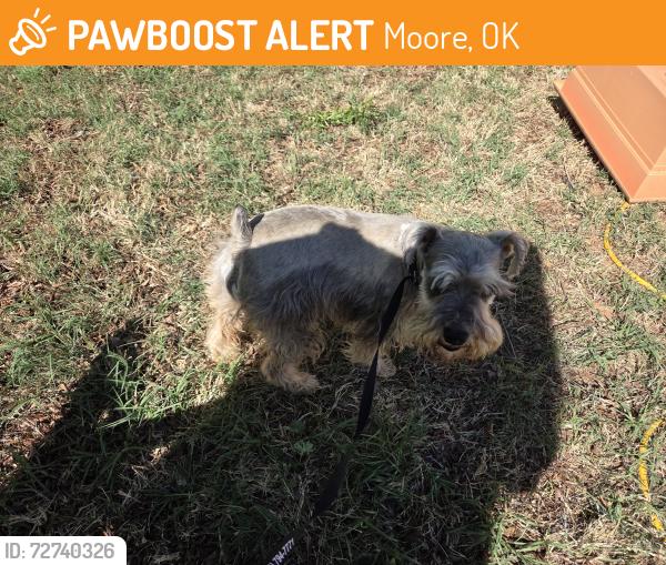 Found/Stray Male Dog last seen 12th street and Broadway , Moore, OK 73160