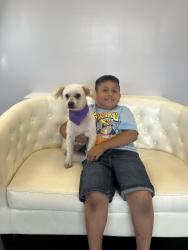 Lost Female Dog last seen Near w granada rd phx az 85009, Phoenix, AZ 85003