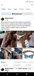 Lost Male Dog last seen Jackson road and 1486, Montgomery, TX 77316