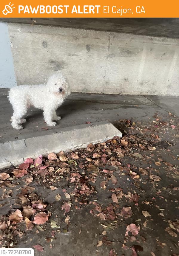 Found/Stray Unknown Dog last seen E Main Dt and Claydelle, El Cajon, CA 92020