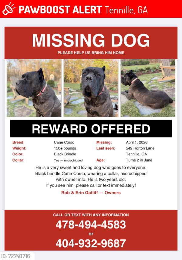 Lost Male Dog last seen HartsFord, Hurst and Mt Gilead Rd, Tennille, GA 31089