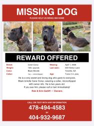 Lost Male Dog last seen HartsFord, Hurst and Mt Gilead Rd, Tennille, GA 31089