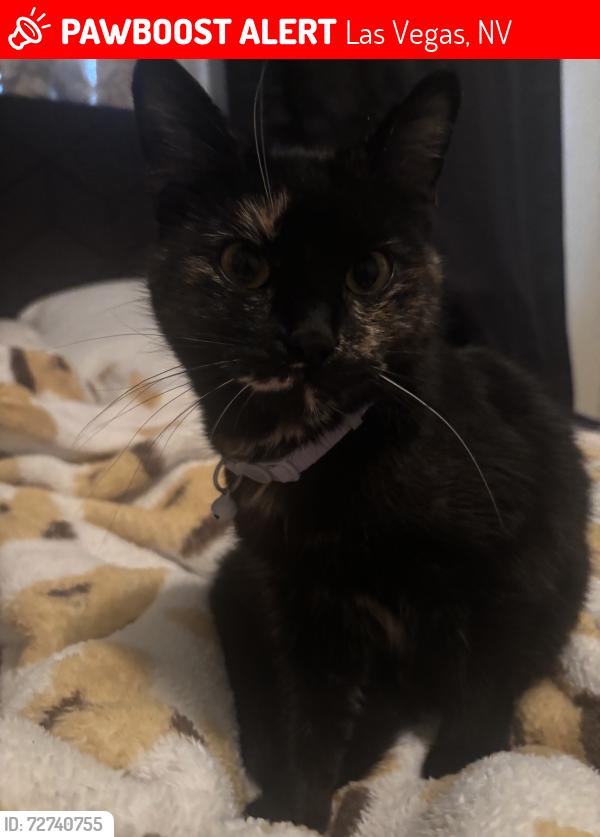 Lost Female Cat last seen Easton Place Providence , Las Vegas, NV 89166