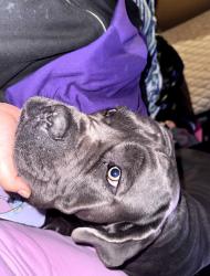 Lost Male Other last seen S. Zarzamora and Drake St., San Antonio, TX 78211