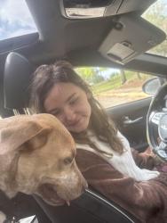 Found/Stray Male Dog last seen Slater avenue , Fayetteville, NC 28301