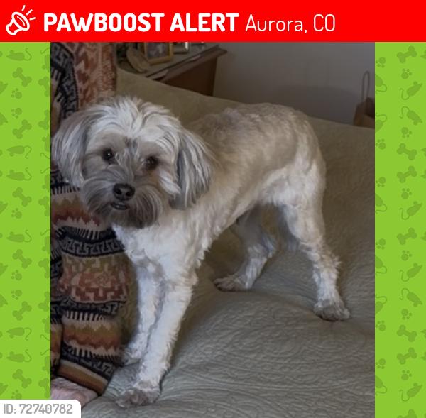 Lost Male Dog last seen Iliff , Aurora, CO 80014