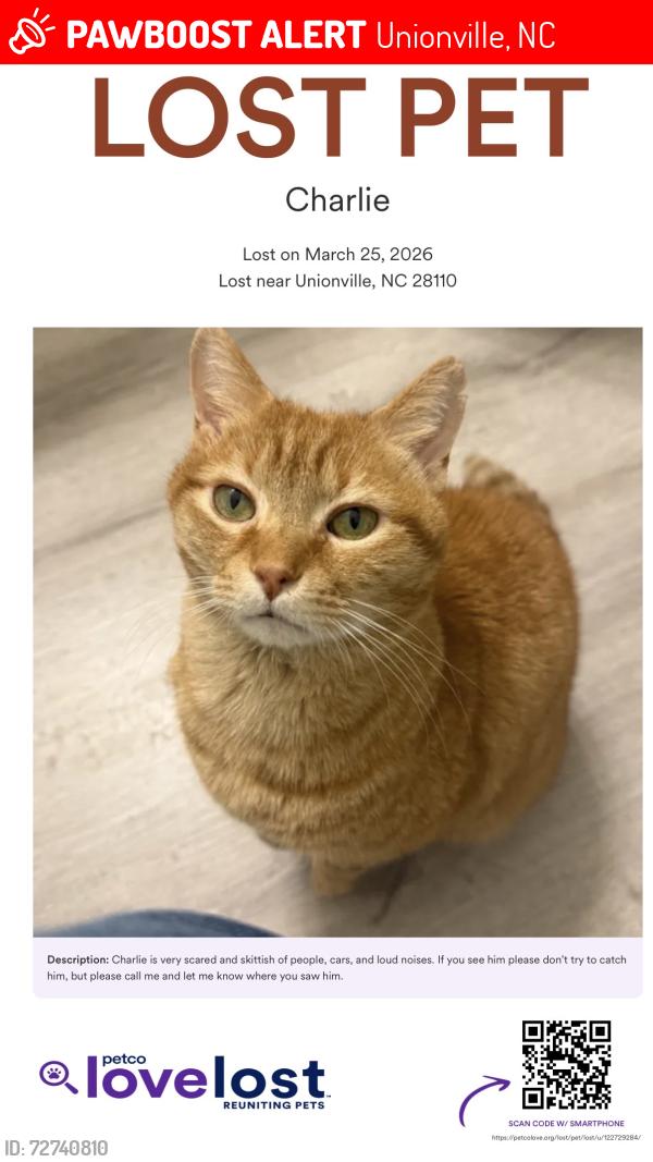 Lost Male Cat last seen Penwood place, Unionville, NC 28110