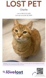 Lost Male Cat last seen Penwood place , Unionville, NC 28110
