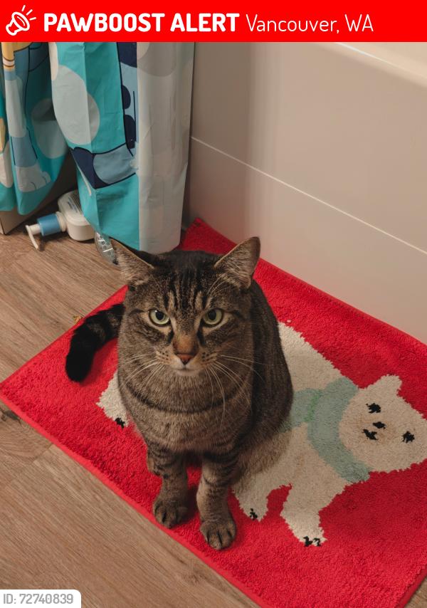 Lost Male Cat last seen Jim Parsley Community Center , Vancouver, WA 98661