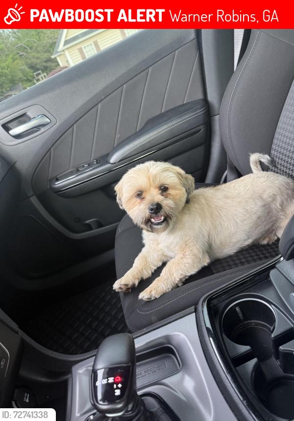 Lost Male Dog last seen Lake Joy ests , Warner Robins, GA 31088