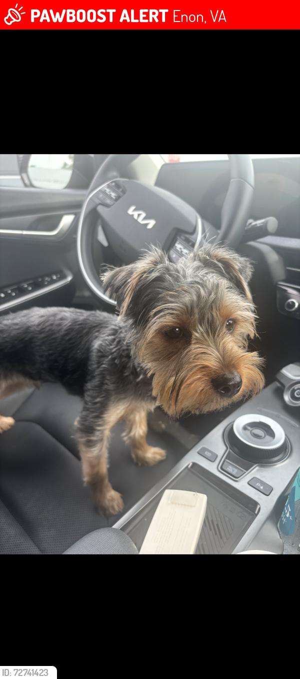 Lost Male Dog last seen Esther Lane, Enon, VA 23836