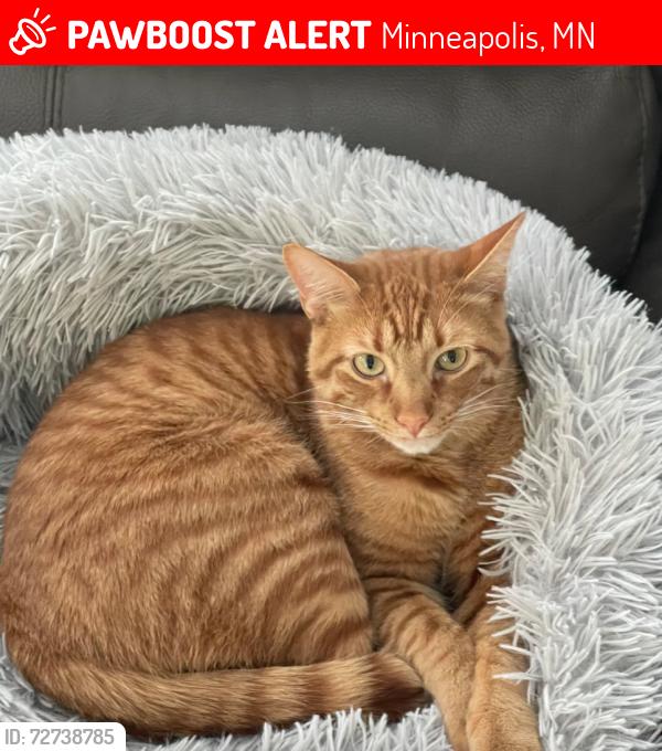 Lost Male Cat last seen 42nd St and 19th Ave S, Minneapolis, MN 55407