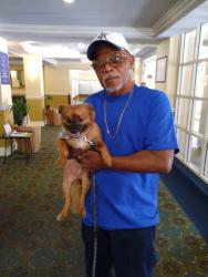 Lost Male Dog last seen Near N. Grand Ave , Los Angeles, CA 90012
