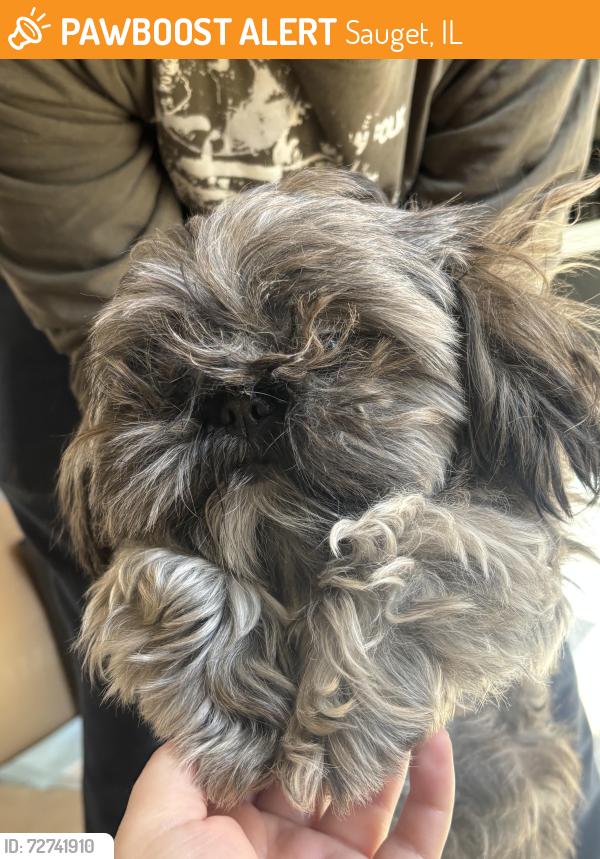 Found/Stray Male Dog last seen Near Zx Gas station , Sauget, IL 62206