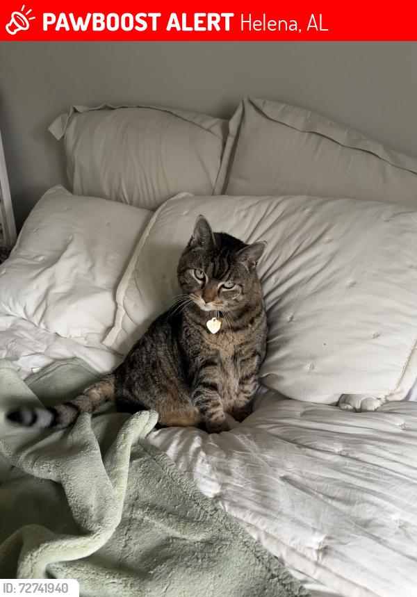 Lost Female Cat last seen Helena Hollow/Highway 17 area/ Amberly Woods/Braelin Neighborhood/Penhall park, Helena, AL 35080