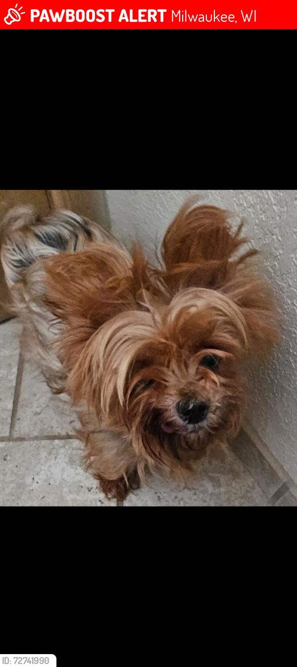 Lost Female Dog last seen 68th and Howard, Milwaukee, WI 53220