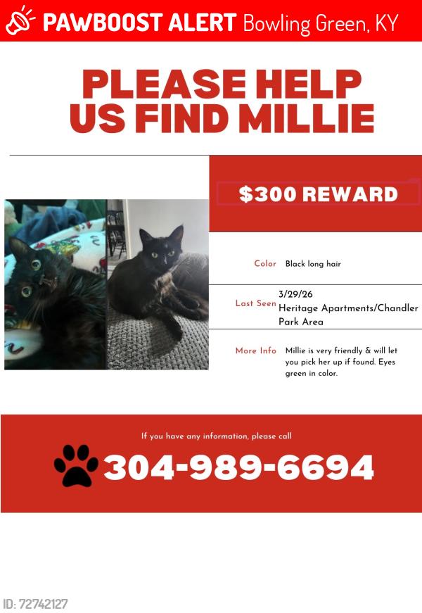 Lost Female Cat last seen Heritage apmts , Bowling Green, KY 42101