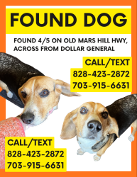 Found/Stray Male Dog last seen Dollar General , Old Mars Hill Hwy, NC 28787