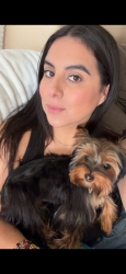 Lost Female Dog last seen Near S embassy Ave pharr Texas 78577, Pharr, TX 78577