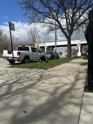 Found/Stray Unknown Dog last seen 49th & S Hoyne, Chicago, IL 60609