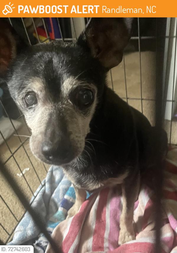 Found/Stray Male Dog last seen Walker mill road, Randleman , Randleman, NC 27350