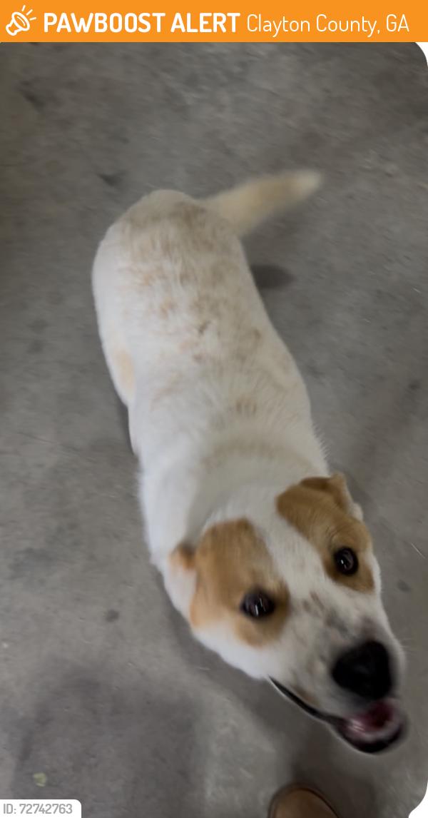 Found/Stray Male Dog last seen Near / 23 and Anvilblock Rd, Clayton County, GA 30294