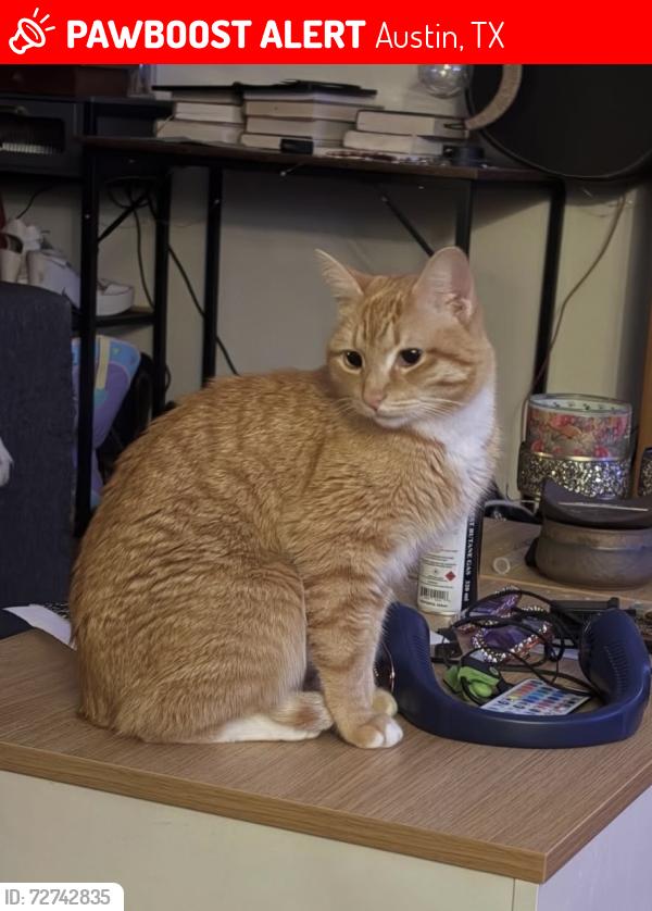 Lost Male Cat last seen Fo Guang Shan Xiang Yun Temple, Austin, TX 78731