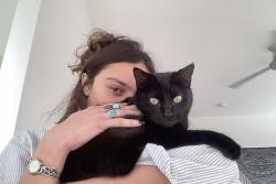 Lost Female Cat last seen Allen Rd & Pinnacle , Austin, TX 78746