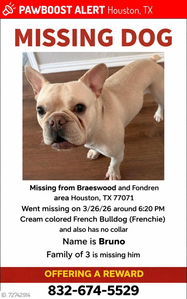 Lost Male Dog last seen S braewood , Houston, TX 77071
