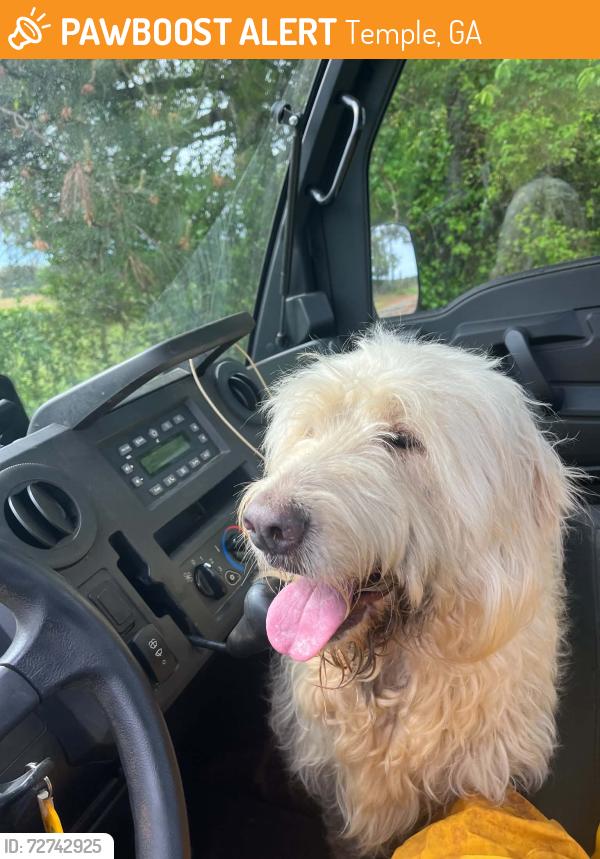 Found/Stray Male Dog last seen Highway, 120 Drake Town, Georgia, Temple, GA 30179