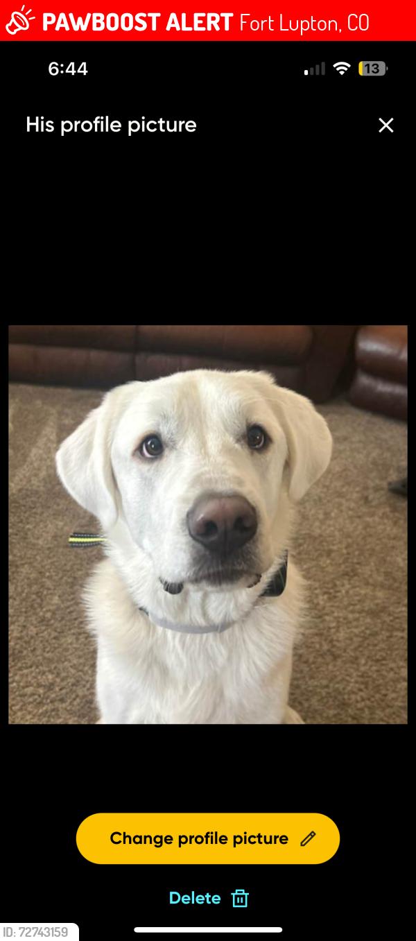 Lost Male Dog last seen Na, Fort Lupton, CO 80621