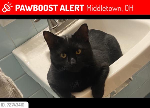 Lost Male Cat last seen Near , Middletown, OH 45042