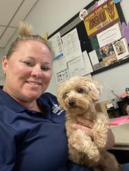 Found/Stray Unknown Dog last seen Paiute Center, Scottsdale, AZ 85251
