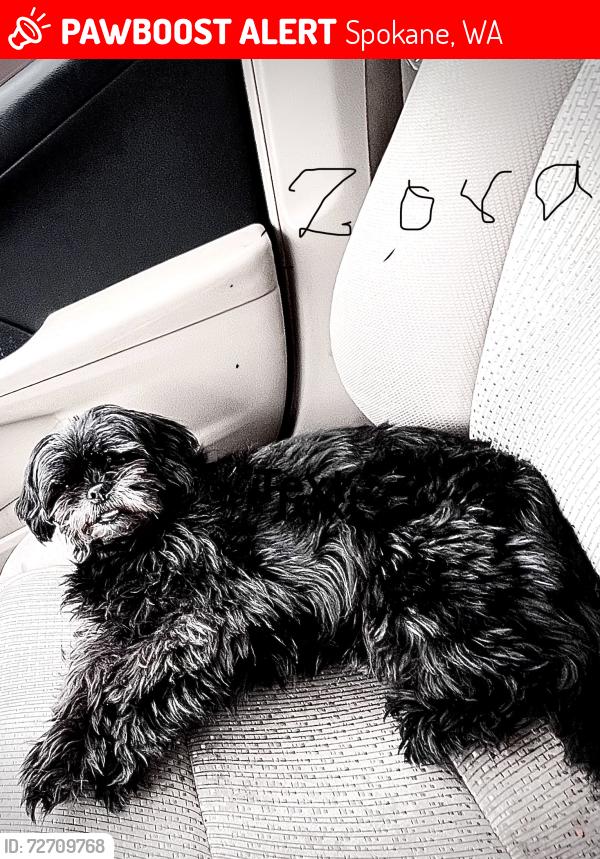Lost Female Dog last seen Central and Nevada, Spokane, WA 99208