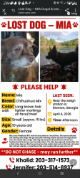 Lost Female Dog last seen She chased another dog  who was white some dark areas on leg and body looked to be a lot of lab possibly who she saw at the weigh station on I 20 in breman Georgia headed toward hses in the area as he seemed to be familiar with that area.   , Bremen, GA 30110