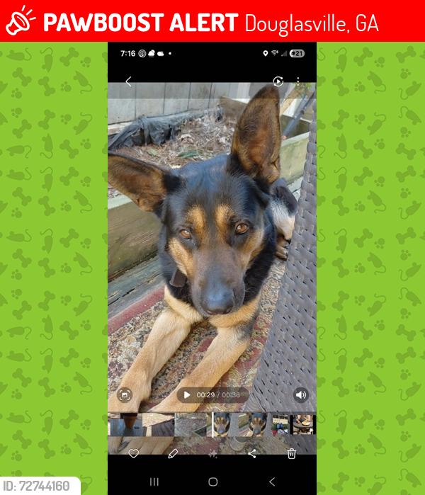 Lost Male Dog last seen Near East Melissa ln, Douglasville, GA 30135